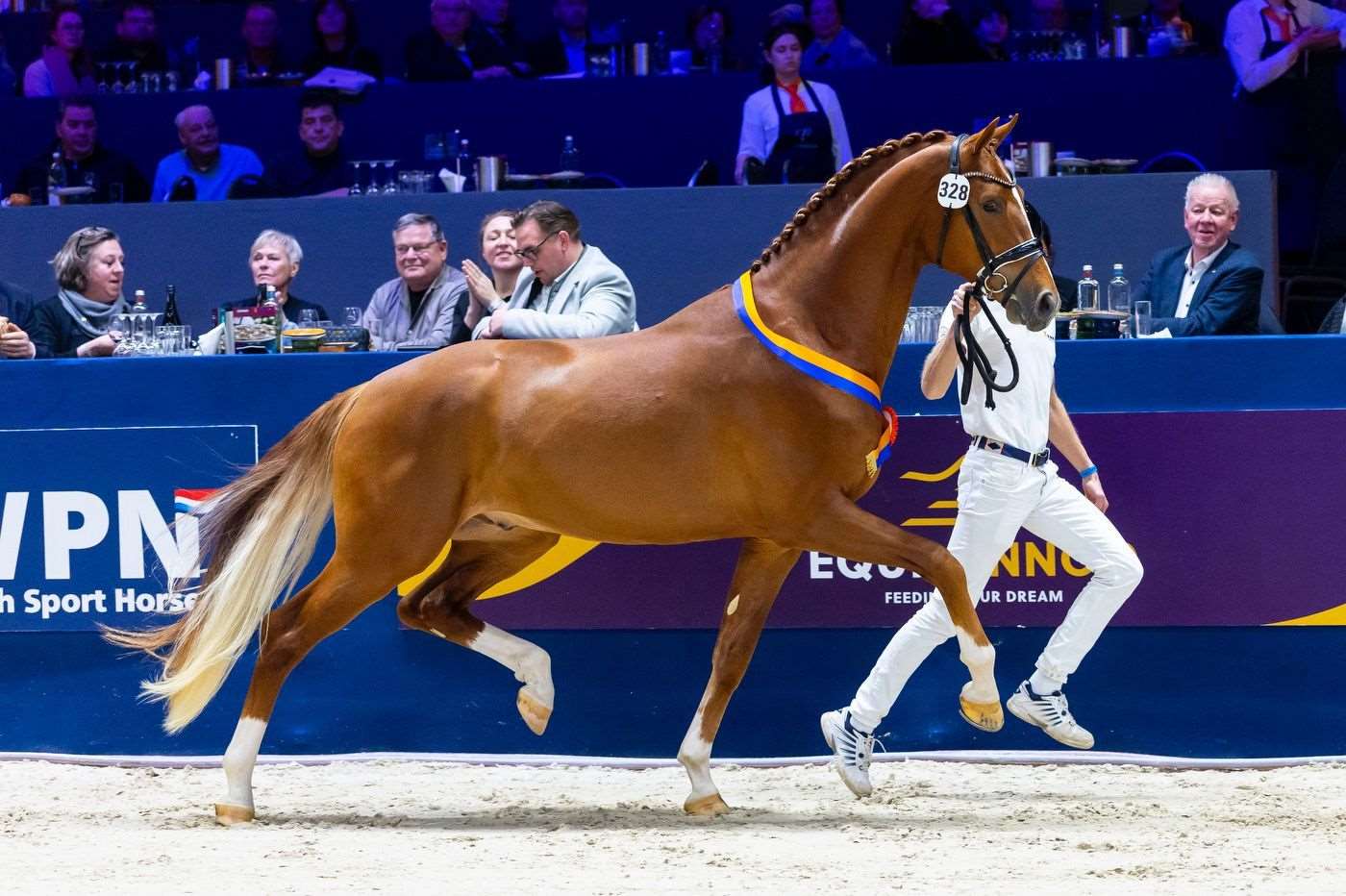 Everglow Gold Stallion